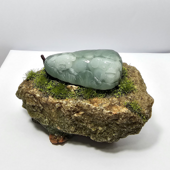 Translucent Icy Green Jadeite "Smiley Piglets in Giant Cabbage" (JAM000839)